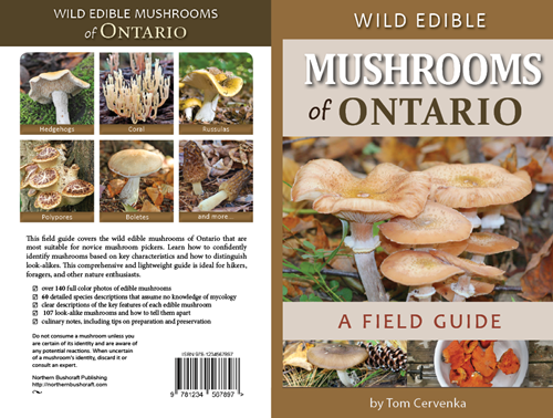 Edible Mushroom Identification Chart